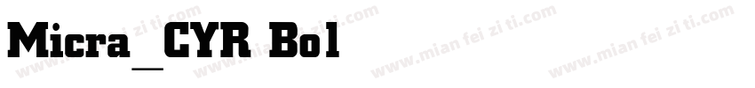Micra_CYR Bold字体转换